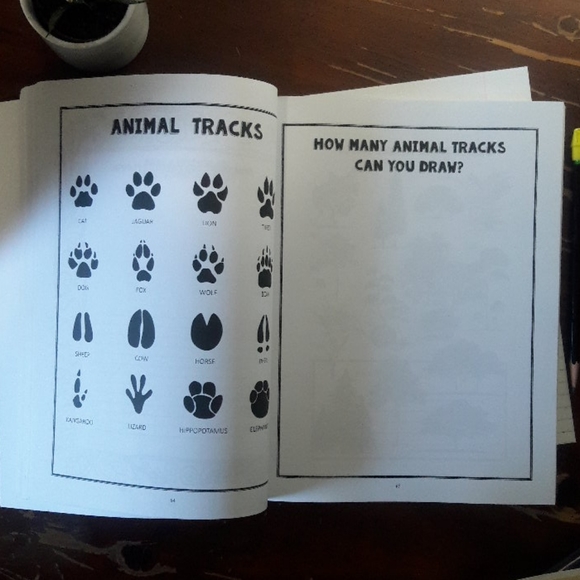 Homeschool Nature Study/Science Journal - Picture 6 of 12